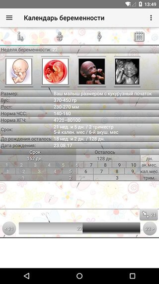 Pregnancy Calendar 2.3.3